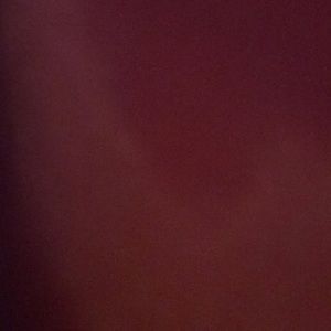 Meet your Posher, Calvin